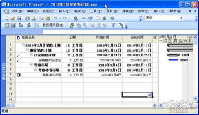 巧用Office软件，轻松提升营销效率与销售业绩